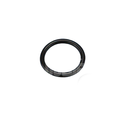 22mm O'Ring for Omnipure Q Series